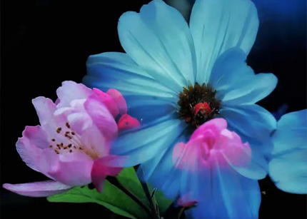 摄影技巧：多重曝光怎么拍？