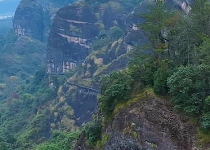 萍乡辞赋 奋楫前行——江西银河杜仲公司采风记