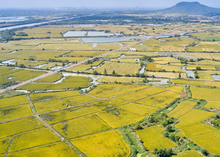 水润沃野保粮丰——我国夯实夏粮丰收水利根基