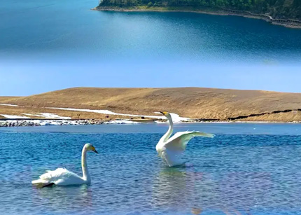 【沿着河湖看新疆】“达瓦孜、土陶、小刀、模戳印花” 这些年轻人传承着家乡的非遗文化