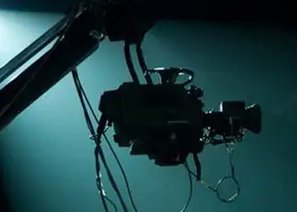 上海哪家公司的网红比较专业？