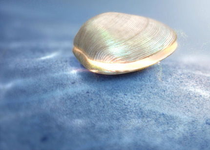 第一财经电视台的联系方式是什么？